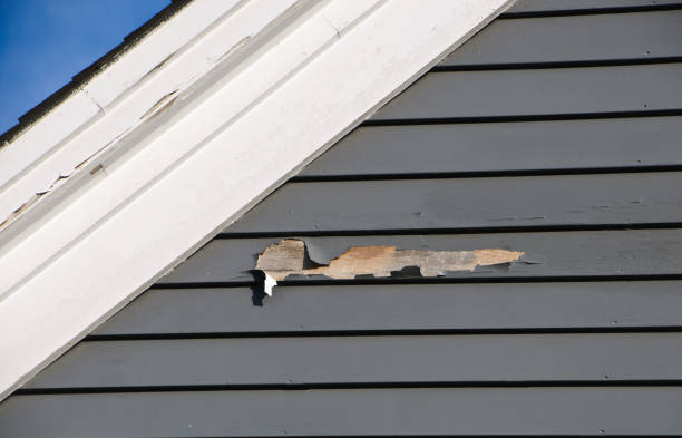 Best Siding Painting and Refinishing  in Glenwood, IL